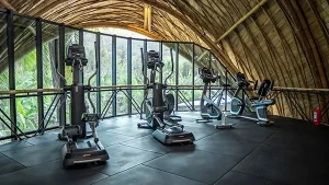 Xeno Fit Gym interior view