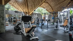 Xeno Fit Gym interior view gym equipment