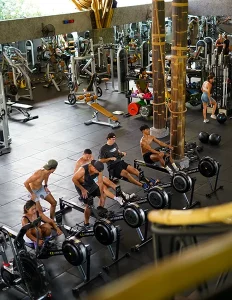 Xeno Fit Gym interior view rowing and gym equipement